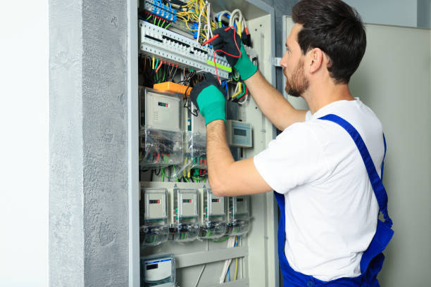 Best Electric Panel Repair  in Sikeston, MO